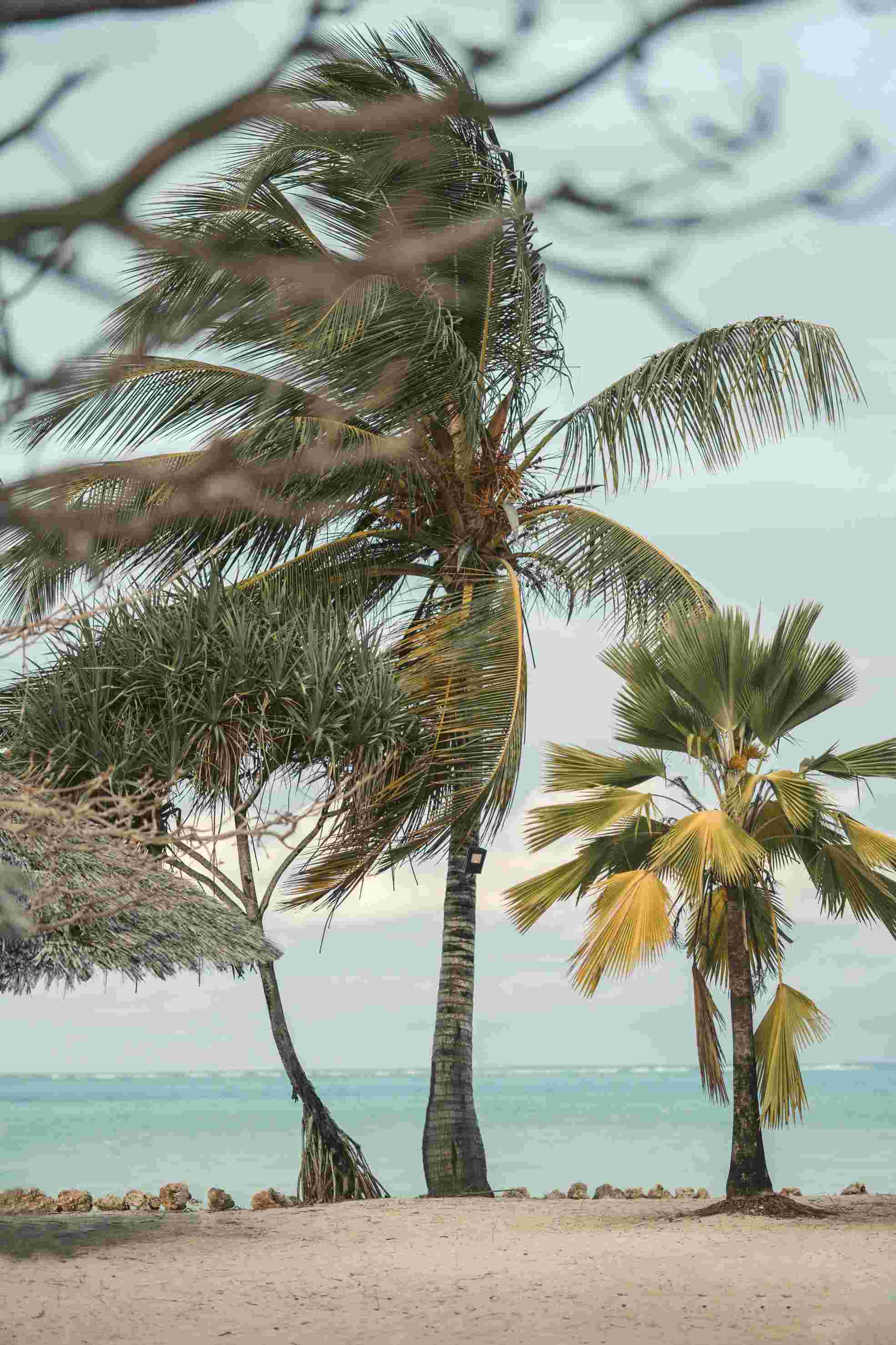 Zanzibar Honeymoon Escape